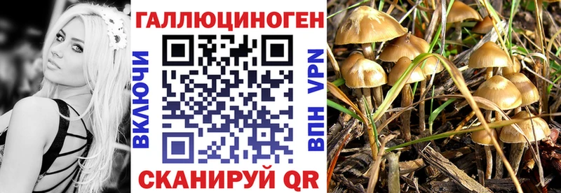 Псилоцибиновые грибы ЛСД  Купить закладки  Бакал 