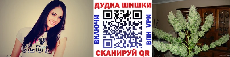 Конопля ГИДРОПОН  Купить  Бакал 